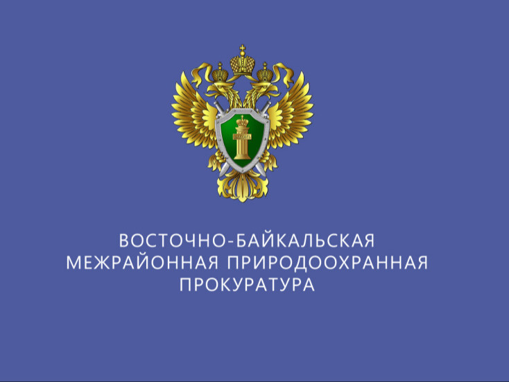 Восточно-Байкальская межрайонная природоохранная прокуратура разъясняет..